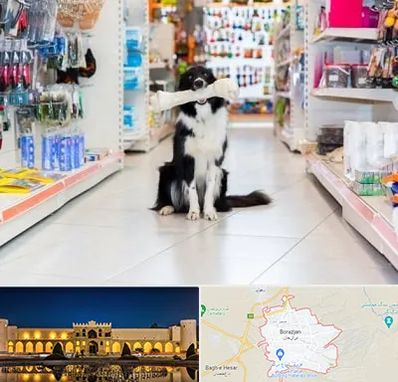 پت شاپ در برازجان