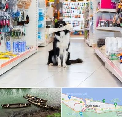 پت شاپ در بندر انزلی