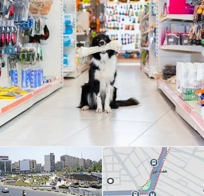 پت شاپ در هفت تیر