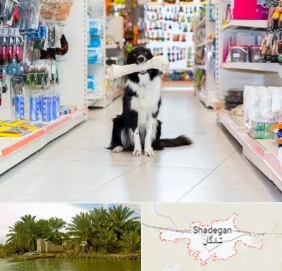 پت شاپ در شادگان