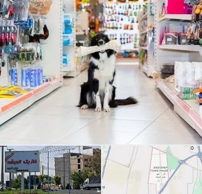 پت شاپ در فاز یک اندیشه