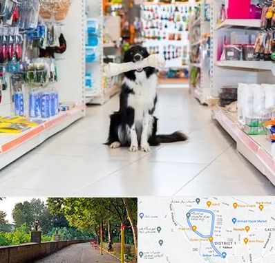 پت شاپ در بلوار گیلان رشت