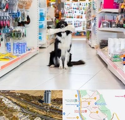 پت شاپ در خیابان نیایش شیراز