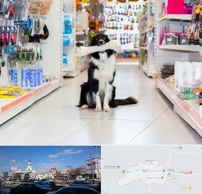 پت شاپ در ماهدشت کرج