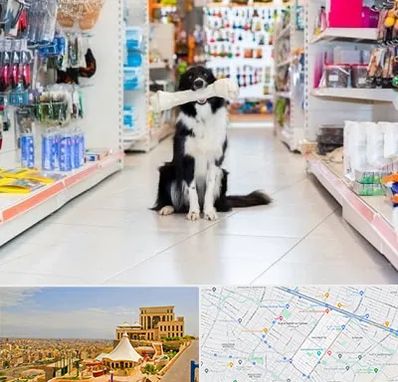 پت شاپ در هاشمیه مشهد