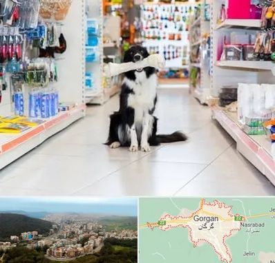 پت شاپ در گرگان