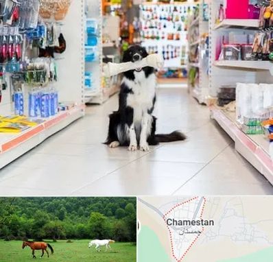 پت شاپ در چمستان