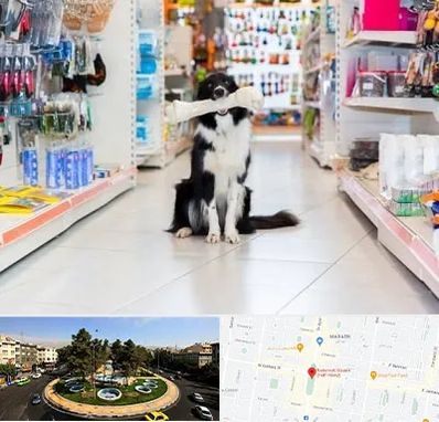 پت شاپ در هفت حوض