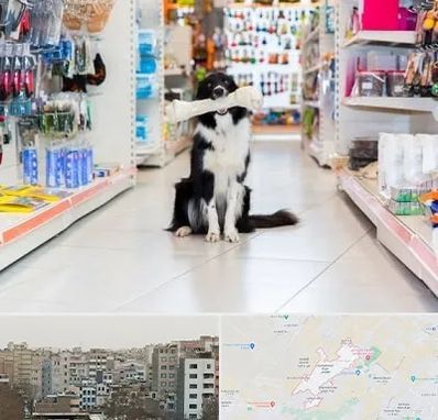 پت شاپ در محمد شهر کرج