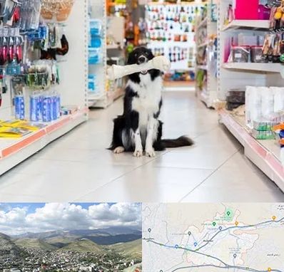 پت شاپ در رودهن