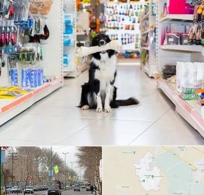 پت شاپ در نظرآباد کرج