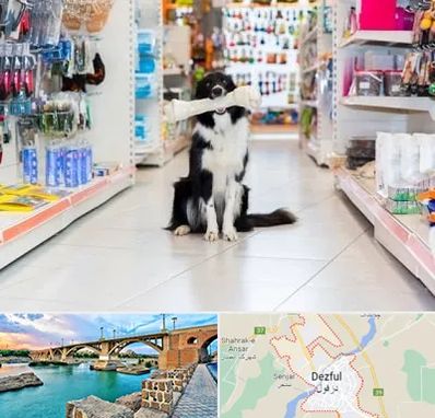 پت شاپ در دزفول