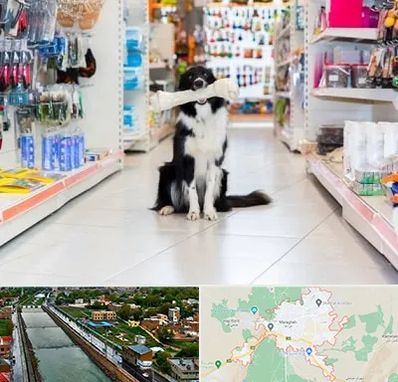 پت شاپ در مراغه