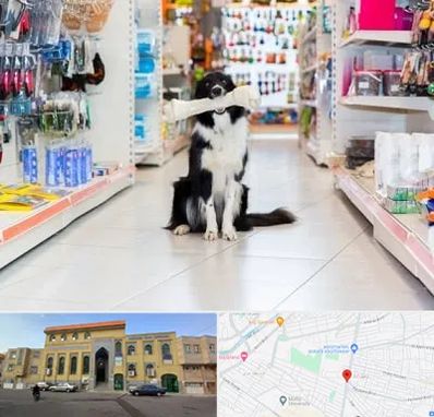 پت شاپ در زنبیل آباد قم