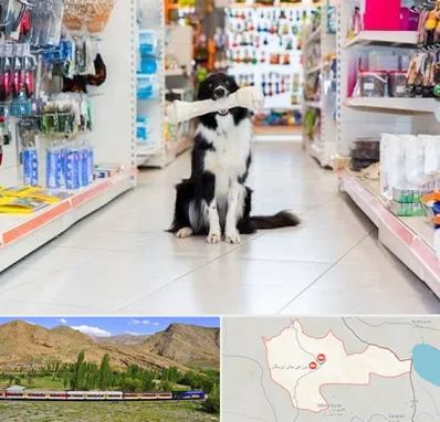 پت شاپ در خاش