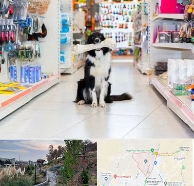 پت شاپ در باغستان کرج