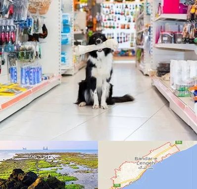 پت شاپ در بندرلنگه