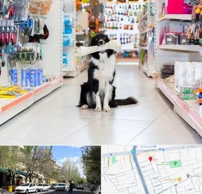 پت شاپ در کوی فیروز تبریز