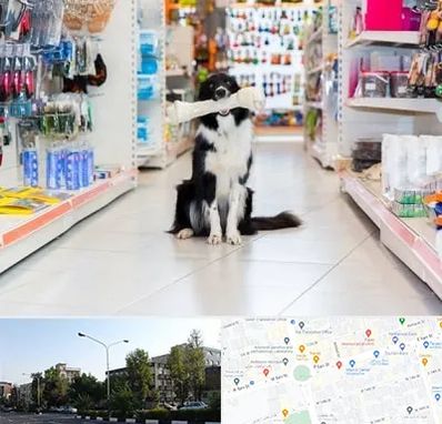 پت شاپ در میدان کاج