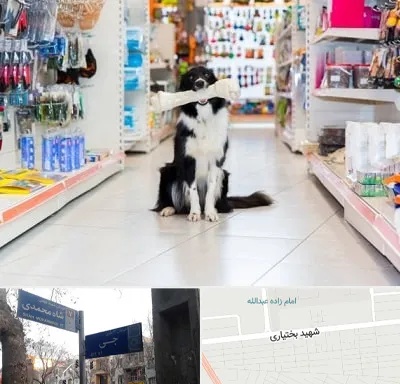 پت شاپ در سی متری جی