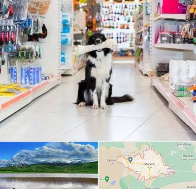 پت شاپ در مرند