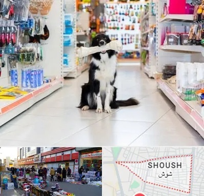 پت شاپ در شوش