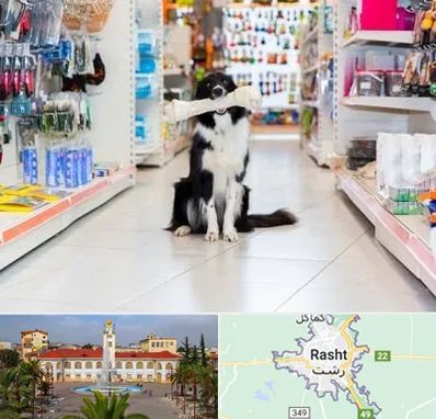 پت شاپ در رشت