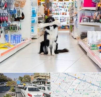 پت شاپ در مفتح مشهد