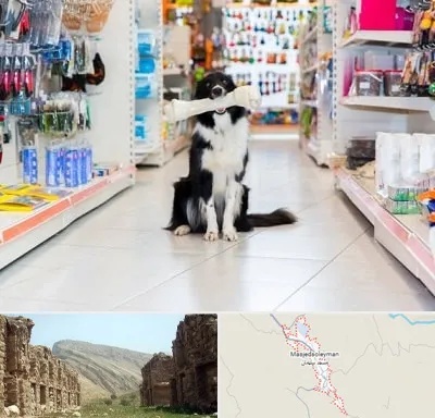 پت شاپ در مسجد سلیمان