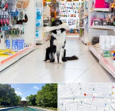 پت شاپ در هشت بهشت اصفهان