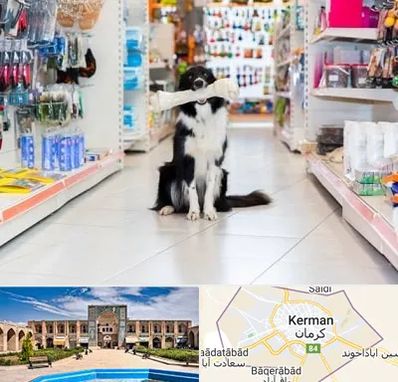 پت شاپ در کرمان