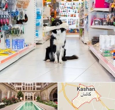 پت شاپ در کاشان