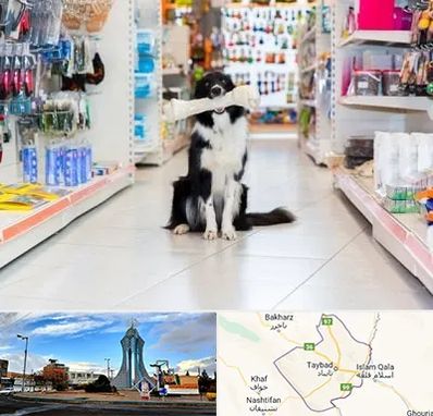 پت شاپ در تایباد