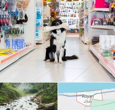 پت شاپ در رویان