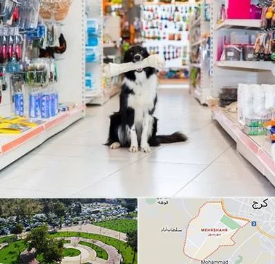 پت شاپ در مهرشهر کرج