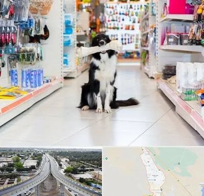 پت شاپ در اندیمشک