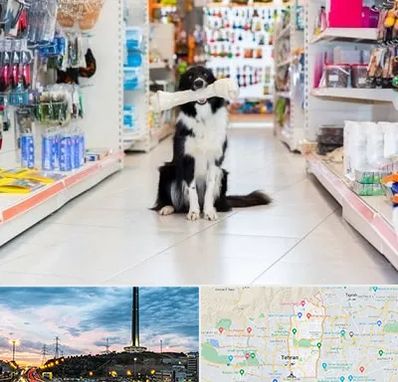 پت شاپ در منطقه 2 تهران