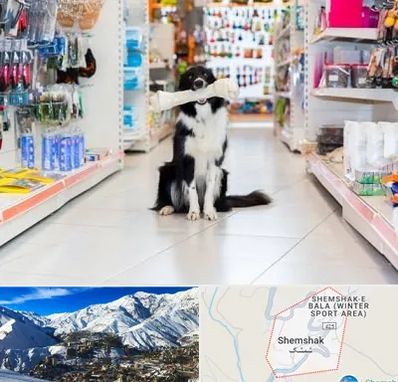 پت شاپ در شمشک