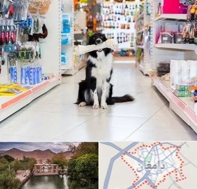 پت شاپ در دامغان