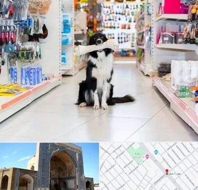 پت شاپ در مصلی مشهد