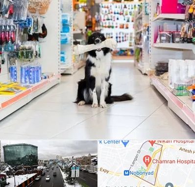 پت شاپ در اقدسیه