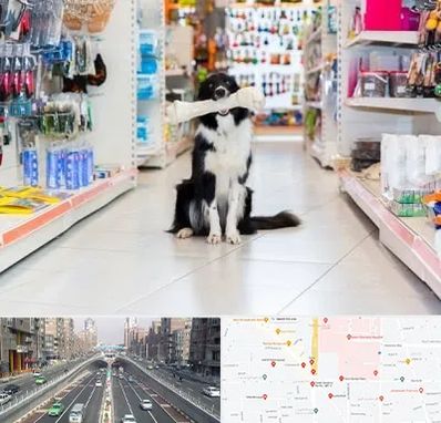 پت شاپ در توحید