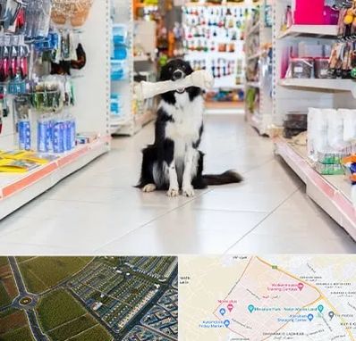 پت شاپ در الهیه مشهد