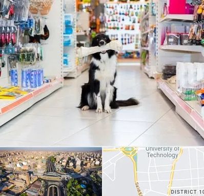 پت شاپ در استاد معین