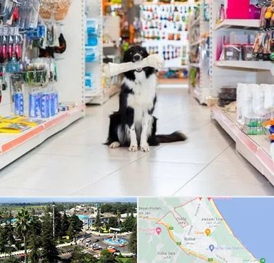 پت شاپ در رودسر