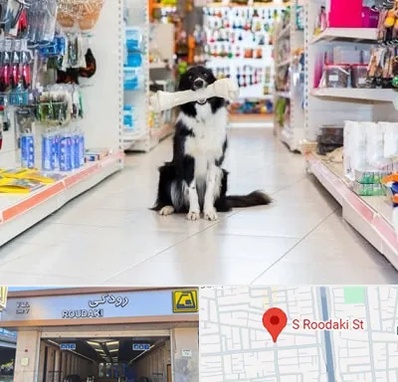 پت شاپ در رودکی
