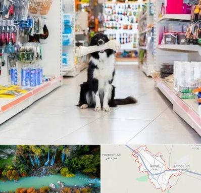 پت شاپ در دورود