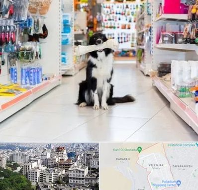 پت شاپ در ولنجک