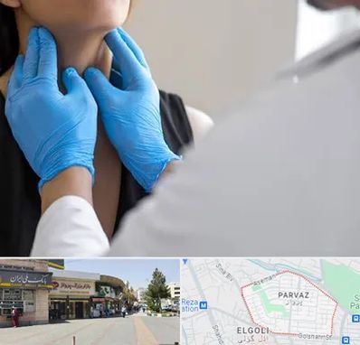 دکتر سرطان گلو در پرواز تبریز