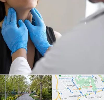 دکتر سرطان گلو در قدوسی غربی شیراز 